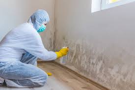 Best Mold Documentation for Insurance Claims  in Eastmont, WA